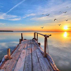 masterstudy_placeholder